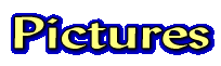 Die offiziellen Bilder zur Homepage